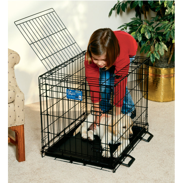 Life outlet stages kennel